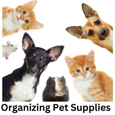 Organizing Pet Supplies Seattle Sparkle Professional Home